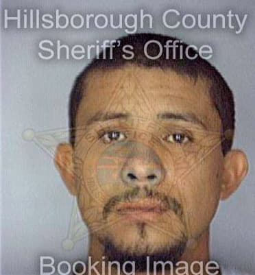 Reyes Alvarado - Hillsborough County, FL 