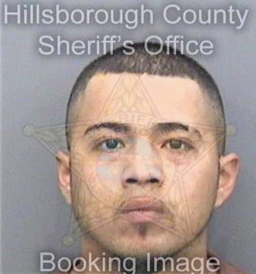 Martinez Domingo - Hillsborough County, FL 