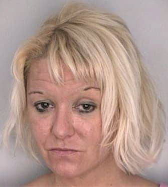 Silver Vicki - Hillsborough County, FL 