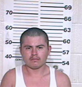 Hernandez Alejandro - Hidalgo County, TX 