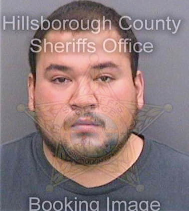 Suarez Cesar - Hillsborough County, FL 