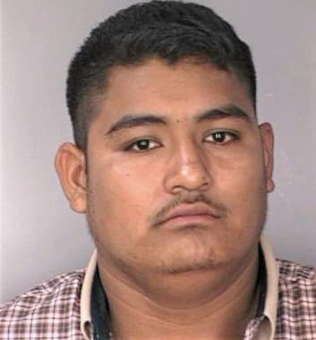 Silva Guillermo - Hillsborough County, FL 