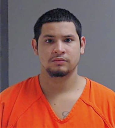 Gonzalez Hector - Hidalgo County, TX 