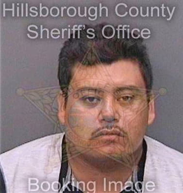 Navarettemguerro Jaime - Hillsborough County, FL 