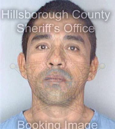 Garcia Lupe - Hillsborough County, FL 