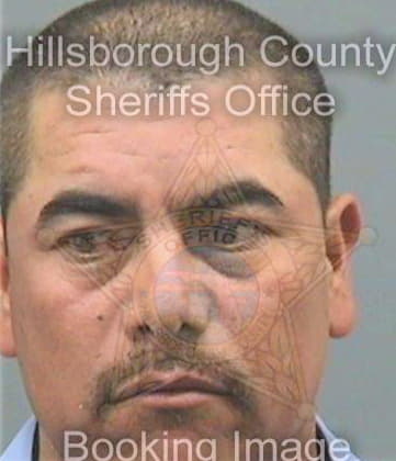 Deleonsalazar Martin - Hillsborough County, FL 