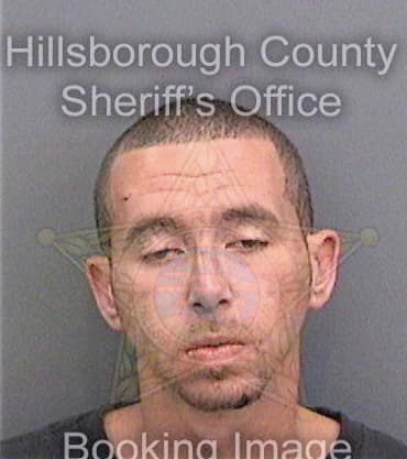 Brewton Daris - Hillsborough County, FL 