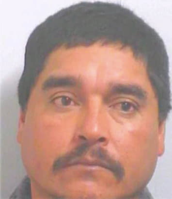 Hernandez-Martinez Jose - Henry County, GA 