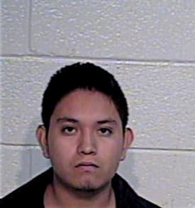 Romero Vicente - Hidalgo County, TX 