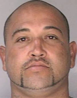 Gonzalez Carlos - Hillsborough County, FL 