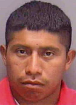 Velasquez Remigio - Lee County, FL 
