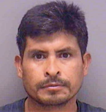 Reynoso Domingo - Lee County, FL 
