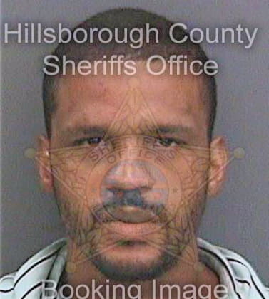 Carrion-Andino Edwin - Hillsborough County, FL 