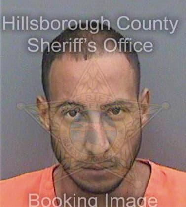 Collazos Hector - Hillsborough County, FL 