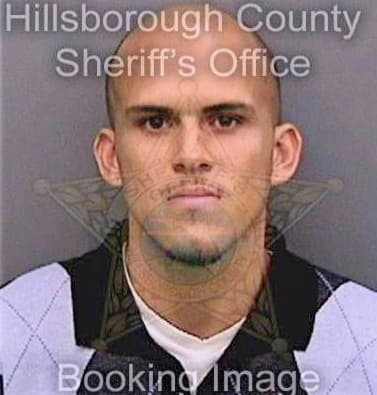 Perezperez Victor - Hillsborough County, FL 