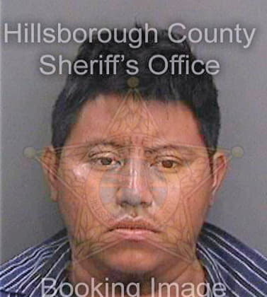 Gomezgusman Ruben - Hillsborough County, FL 