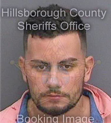 Garcia Andrew - Hillsborough County, FL 