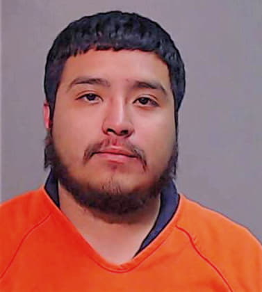 Hernandez Fransisco - Hidalgo County, TX 