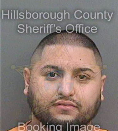 Eguia Anthony - Hillsborough County, FL 