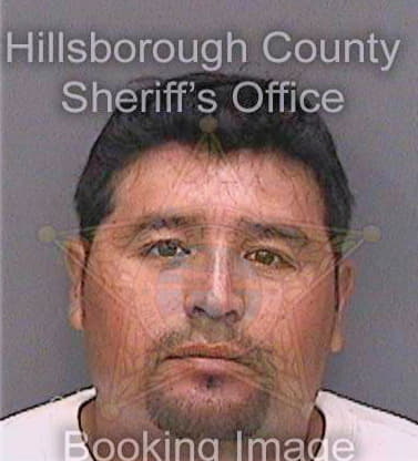 Hernandezperez Tomas - Hillsborough County, FL 