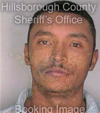 Garcia Moises - Hillsborough County, FL 