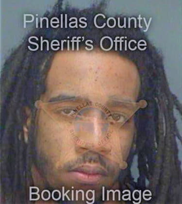 Burks Patrick - Pinellas County, FL 