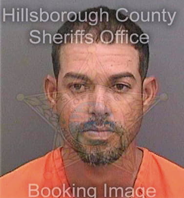 Leguillow-Lopez Roysel - Hillsborough County, FL 