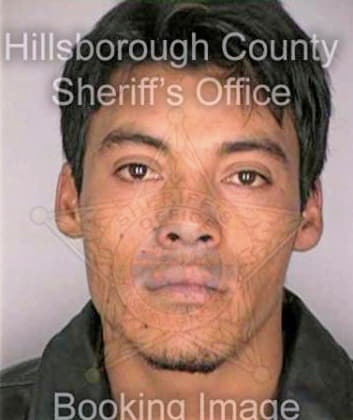 Mendoza Sergio - Hillsborough County, FL 