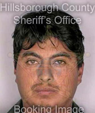 Gonzalez Jose - Hillsborough County, FL 