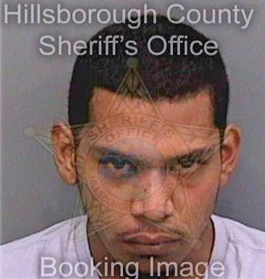 Correanieva Cesar - Hillsborough County, FL 