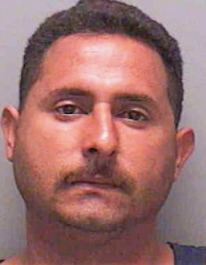Serrato Ricardo - Lee County, FL 