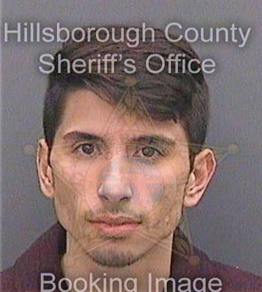 Burton Stephan - Hillsborough County, FL 