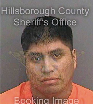 Perez Juan - Hillsborough County, FL 