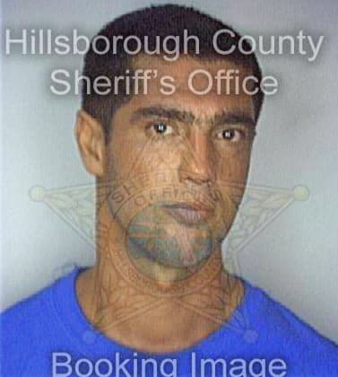 Gonzalez Enrique - Hillsborough County, FL 