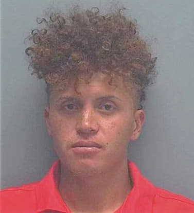 Santos-Santos Josue - Lee County, FL 