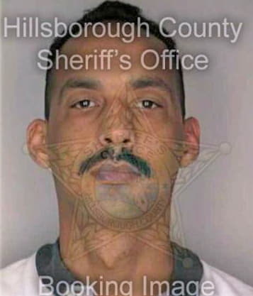 Delarosa Alberto - Hillsborough County, FL 