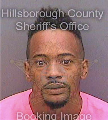 Mcduffie Alphonso - Hillsborough County, FL 
