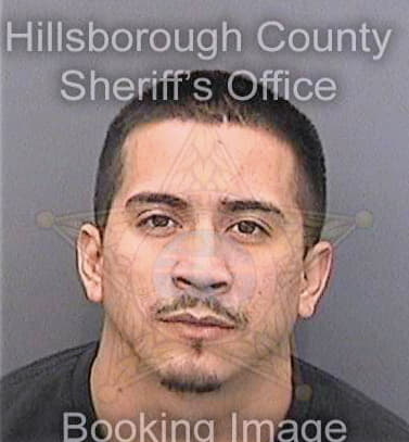 Mayen Brayan - Hillsborough County, FL 