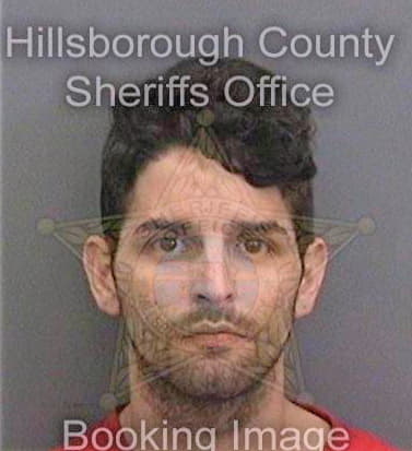 Meneses-Hernandez Elidiel - Hillsborough County, FL 