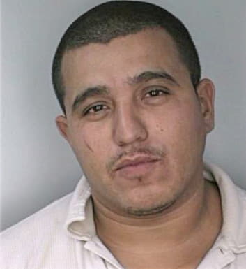 Trejo Carlos - Hillsborough County, FL 