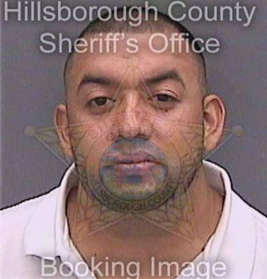 Jimenez Alejandro - Hillsborough County, FL 