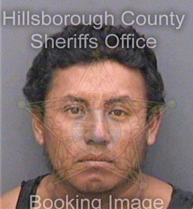 Perezlopez Edgar - Hillsborough County, FL 