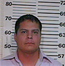 Sanchez David - Hidalgo County, TX 