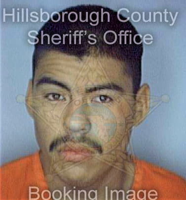 Garzajaramillo Luis - Hillsborough County, FL 