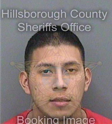 Bartolon-Berduo Seydler - Hillsborough County, FL 