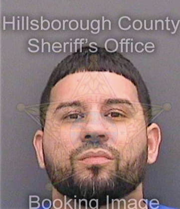 Velezferrer Ismael - Hillsborough County, FL 