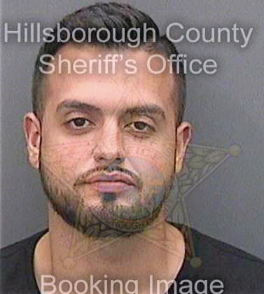 Pereira Luis - Hillsborough County, FL 