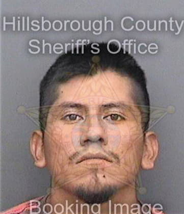 Martinez Bernabe - Hillsborough County, FL 