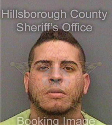 Ortizcruz Jose - Hillsborough County, FL 