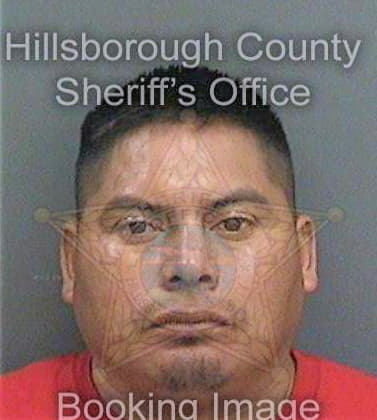 Gomezmatio Arnoldo - Hillsborough County, FL 